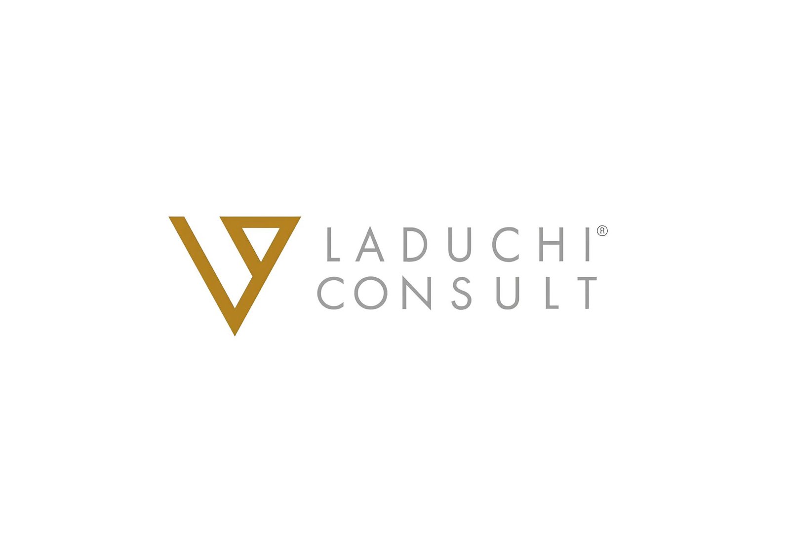 Laduchi Consult Google Ads project